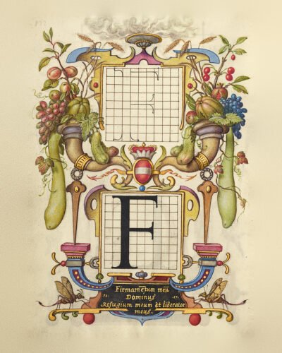 Decorative Alphabets collection — illuminated Renaissance letter F