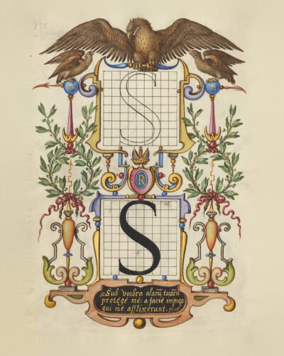 Illuminated Renaissance letter S by Joris Hoefnagel, beneath an eagle with outspread wings and laurel branches